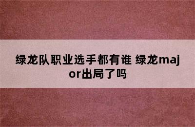 绿龙队职业选手都有谁 绿龙major出局了吗